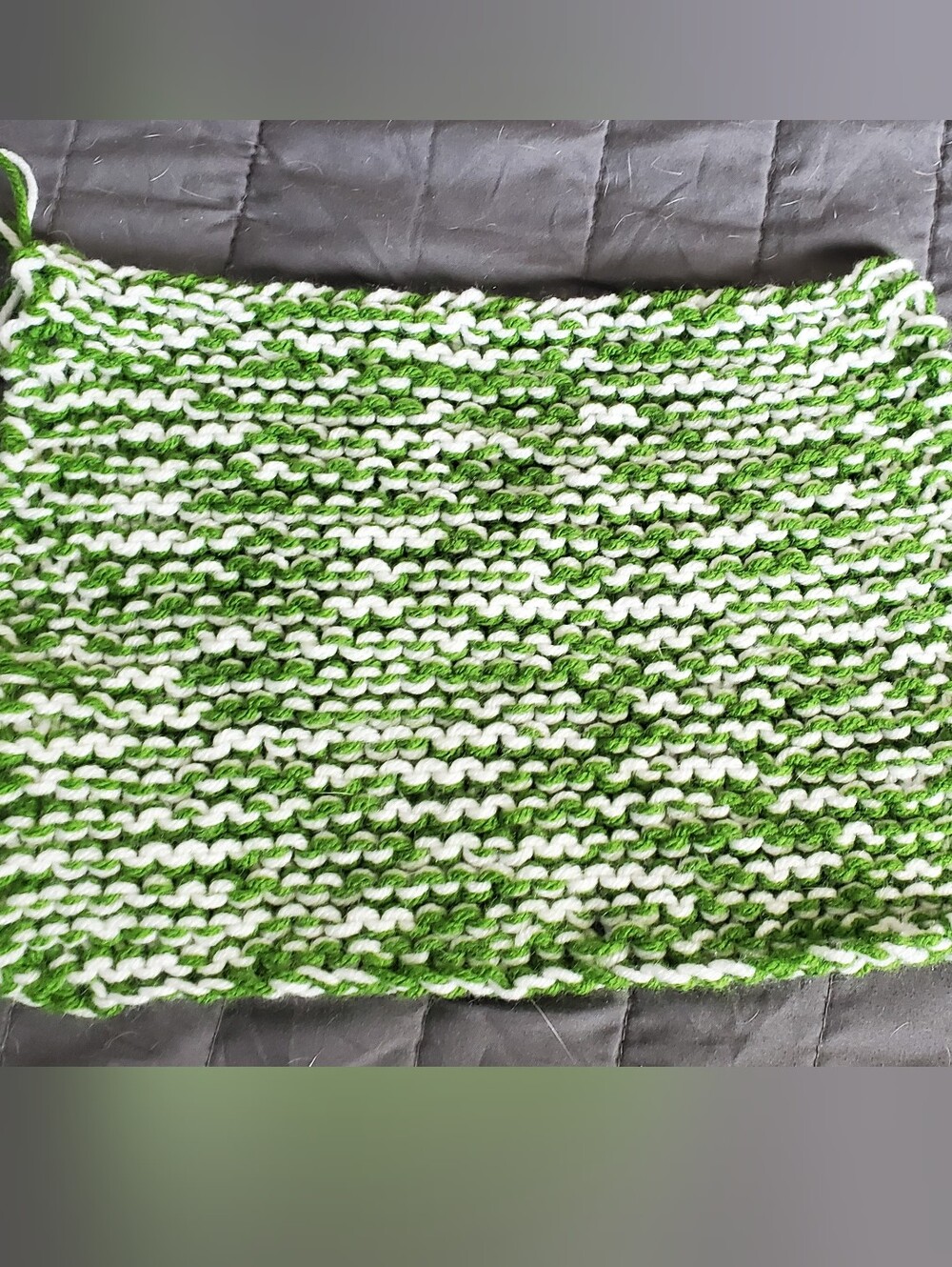 Green Tea - Dish Cloth
